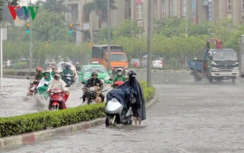 Dự báo thời tiết: Hà Nội sắp đón mưa vàng, nhiệt độ giảm mạnh
