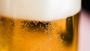 Uống bia "chuẩn lượng" cũng gây suy giảm não bộ?