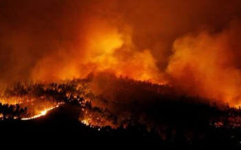 Cháy rừng thiêu chết hàng chục người trong ô tô tại Bồ Đào Nha
