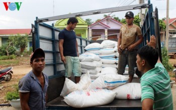 Quảng Trị: Bắt giữ hơn 8 tấn đường Thái Lan lậu