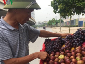 Mận Trung Quốc “đội lốt” mận Sapa tràn vào thị trường Việt Nam