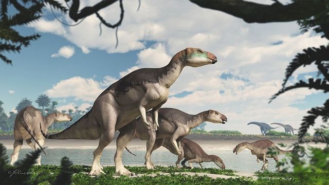 Phát hiện hoá thạch của một đàn khủng long cực hiếm