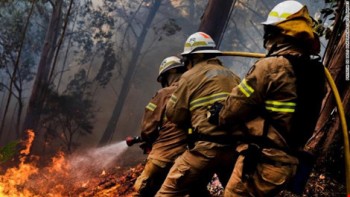 Hàng nghìn lính cứu hỏa Bồ Đào Nha, Pháp vật lộn với cháy rừng