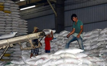 Việt Nam trúng gói thầu xuất khẩu gần 200.000 tấn gạo