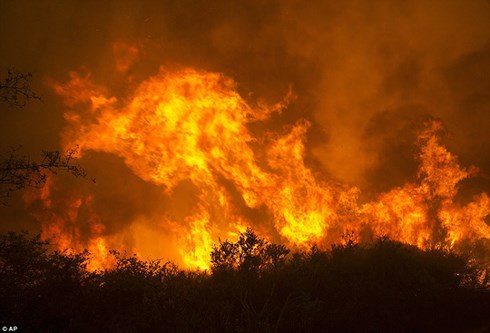 Cháy rừng càn quét dữ dội ở California (Mỹ), 2 lính cứu hỏa thiệt mạng