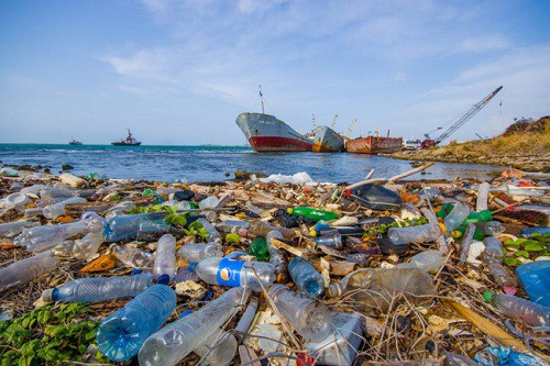 Tổng cục Biển và Hải đảo làm đầu mối về quản lý rác thải nhựa đại dương