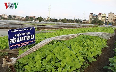 hien ke hut doanh nghiep dau tu vao nong nghiep