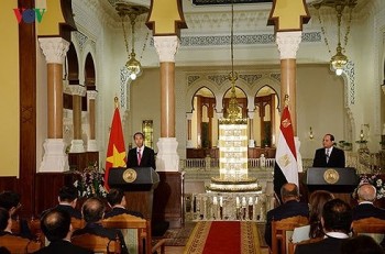 Chủ tịch nước gửi điện mừng tới Tổng thống Ai Cập