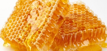 Thực hư chuyện 75% mật ong nhiễm thuốc trừ sâu