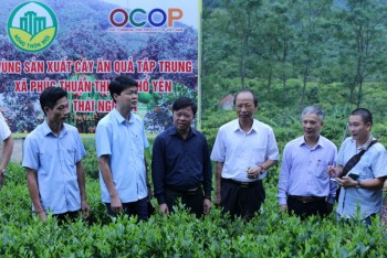 Thị xã Phổ Yên: Tăng cường lãnh đạo, chỉ đạo thực hiện Chương trình mục tiêu Quốc gia xây dựng Nông thôn mới