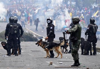 Tổng thống Ecuador ban hành lệnh giới nghiêm vì biểu tình gia tăng
