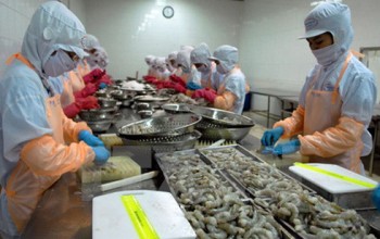Nhiều thách thức đặt ra cho xuất khẩu tôm Việt Nam