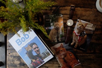 “Bob – Chú mèo đường phố”, cuốn sách lay động trái tim độc giả