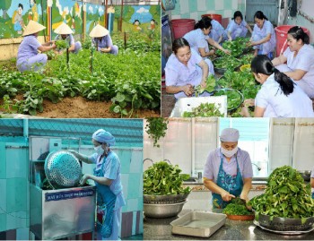 Thừa Thiên Huế: Cấp dưỡng mầm non công lập hoang mang sẽ bị cắt lương nhà nước
