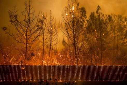 Mỹ: Cháy rừng nghiêm trọng nhất trong lịch sử