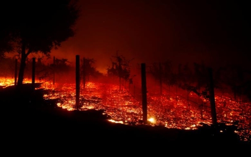 Cháy rừng ở California (Mỹ) làm ít nhất 42 người thiệt mạng