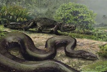 Quái vật rắn khổng lồ Titanoboa vẫn còn sống ở rừng Amazon?