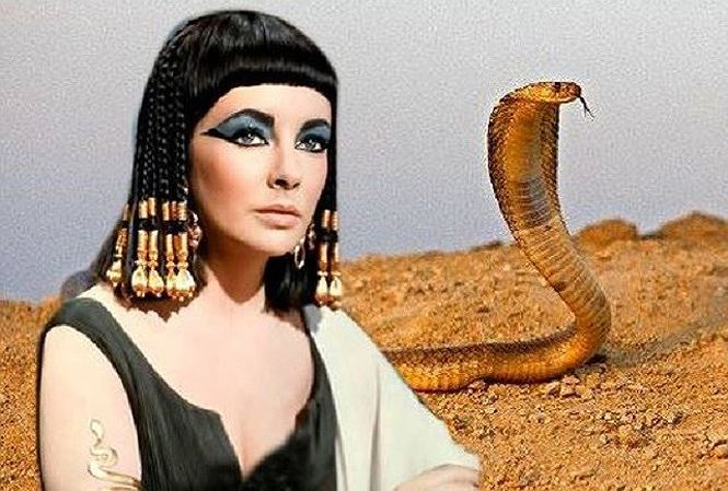 Bí ẩn về loài rắn của nữ hoàng Cleopatra