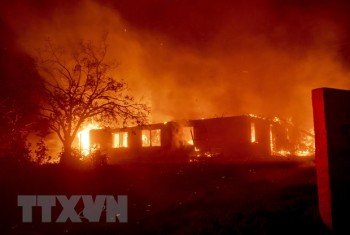 Tổng thống Mỹ tranh cãi với lãnh đạo California về các vụ cháy rừng
