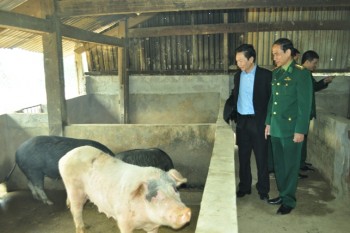 Nghệ An: 150.000 hộ nông dân sản xuất kinh doanh giỏi
