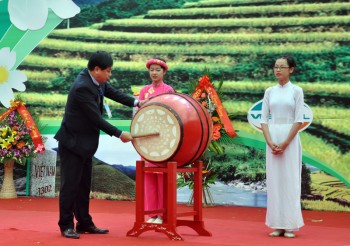 Hoa sở nở đúng Lễ tôn vinh sản phẩm OCOP Quảng Ninh 2017