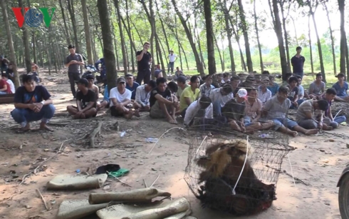 triet pha truong ga nam sau trong lo cao su o binh duong