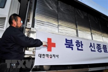 Hàn Quốc là quốc gia viện trợ nhiều nhất cho Triều Tiên trong năm 2019
