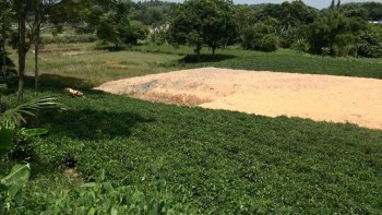 Cần tăng cường công tác quản lý đất đai tại xã Cổ Lũng, huyện Phú Lương
