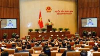 Quốc hội xem xét dự thảo Luật sửa đổi, bổ sung một số điều của Bộ luật Hình sự