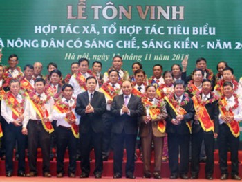 Thủ tướng dự lễ tôn vinh HTX, tổ hợp tác và nông dân tiêu biểu