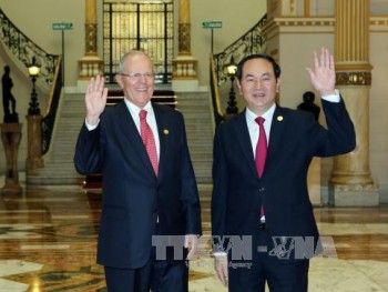 Chủ tịch nước Trần Đại Quang hội đàm với Tổng thống Peru