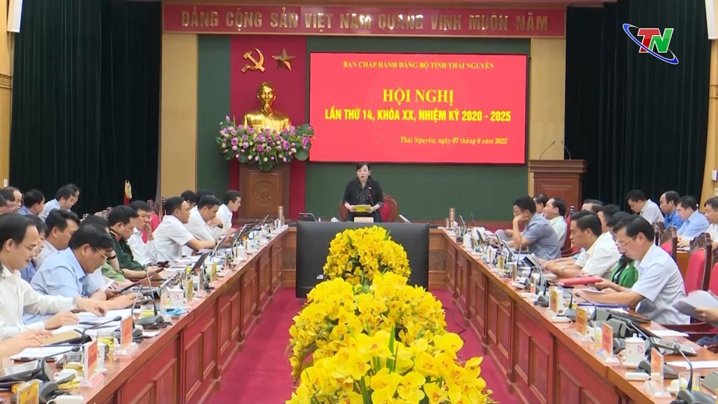 Hội nghị Ban Chấp hành Đảng bộ tỉnh lần thứ 14, khoá XX, nhiệm kỳ 2020-2025