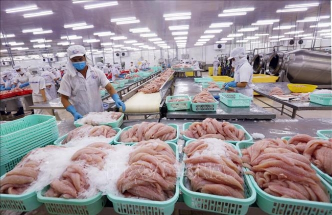 Trung Quốc tiếp tục siết chặt kiểm soát dịch COVID-19 trên thủy sản nhập khẩu