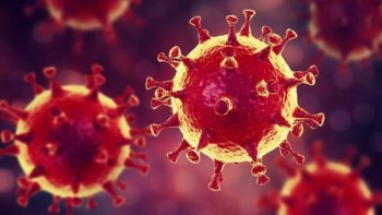 Các nhà khoa học Brazil phát hiện chủng virus mới có nguồn gốc amip
