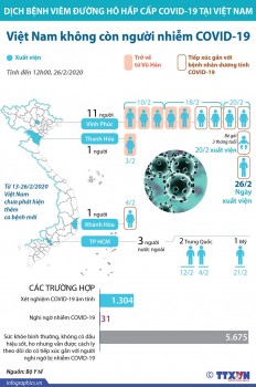 Bệnh nhân thứ 16 xuất viện, Việt Nam không còn người nhiễm COVID-19