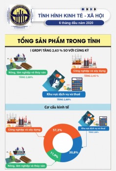 [Infographic] Kinh tế - Xã hội Thái Nguyên 6 tháng đầu năm 2020 qua các con số