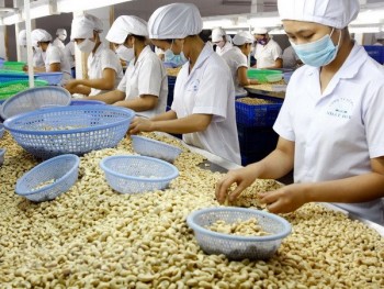 Hiệp định EVFTA: Nâng cao chuỗi giá trị gia tăng cho nông sản Việt