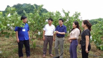 Xây dựng huyện Phú Lương phát triển nhanh, bền vững