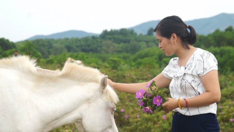 Trại ngựa Bá Vân với xu hướng phát triển du lịch nông nghiệp