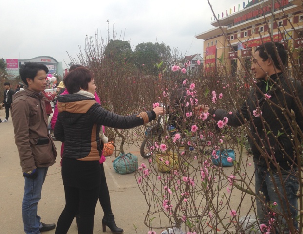 Thái Nguyên: Nhộn nhịp chợ hoa, cây cảnh ngày Tết