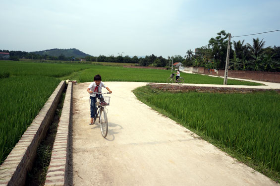 Đến nay, nhân dân xã Tân Hương đã hiến gần 14.000 m2 đất các loại để xây dựng các công trình trong đó chủ yếu là đường giao thông.