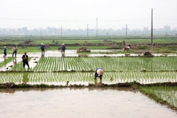 Thái Nguyên: Sẵn sàng điều kiện sản xuất vụ xuân