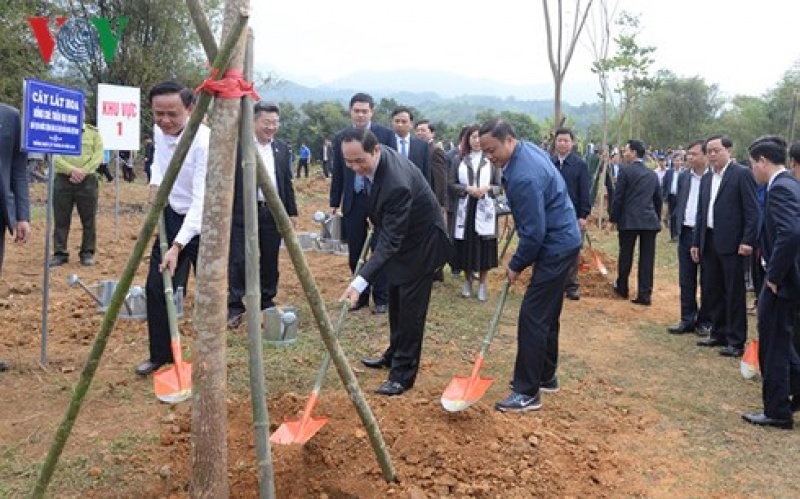 Chủ tịch nước phát động Tết trồng cây đời đời nhớ ơn Bác Hồ