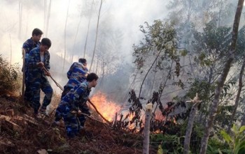 Tiểu đoàn 151 (Vùng 1 Hải quân) tham gia chữa cháy rừng