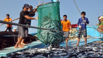 Trung Quốc cấm đánh bắt cá ở biển Đông: 'Không có giá trị'