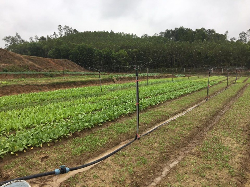 Kiên Giang mở rộng các mô hình sản xuất nông nghiệp hiệu quả  Kinh nghiệm  làm ăn  Báo ảnh Dân tộc và Miền núi