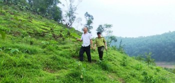 Cảnh báo nguy cơ cháy rừng trên địa bàn tỉnh Thái Nguyên