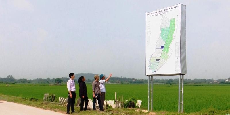 Đánh giá kết quả bước đầu thí điểm dồn điền, đổi thửa, xây dựng cánh đồng mẫu lớn của huyện Phú Bình