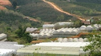 Nông nghiệp công nghệ cao ở huyện Lạc Dương, tỉnh Lâm Đồng cách làm cần được học hỏi