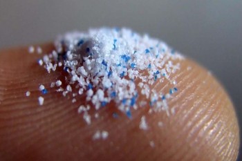 WHO kêu gọi đánh giá thêm về hạt nhựa siêu nhỏ trong môi trường